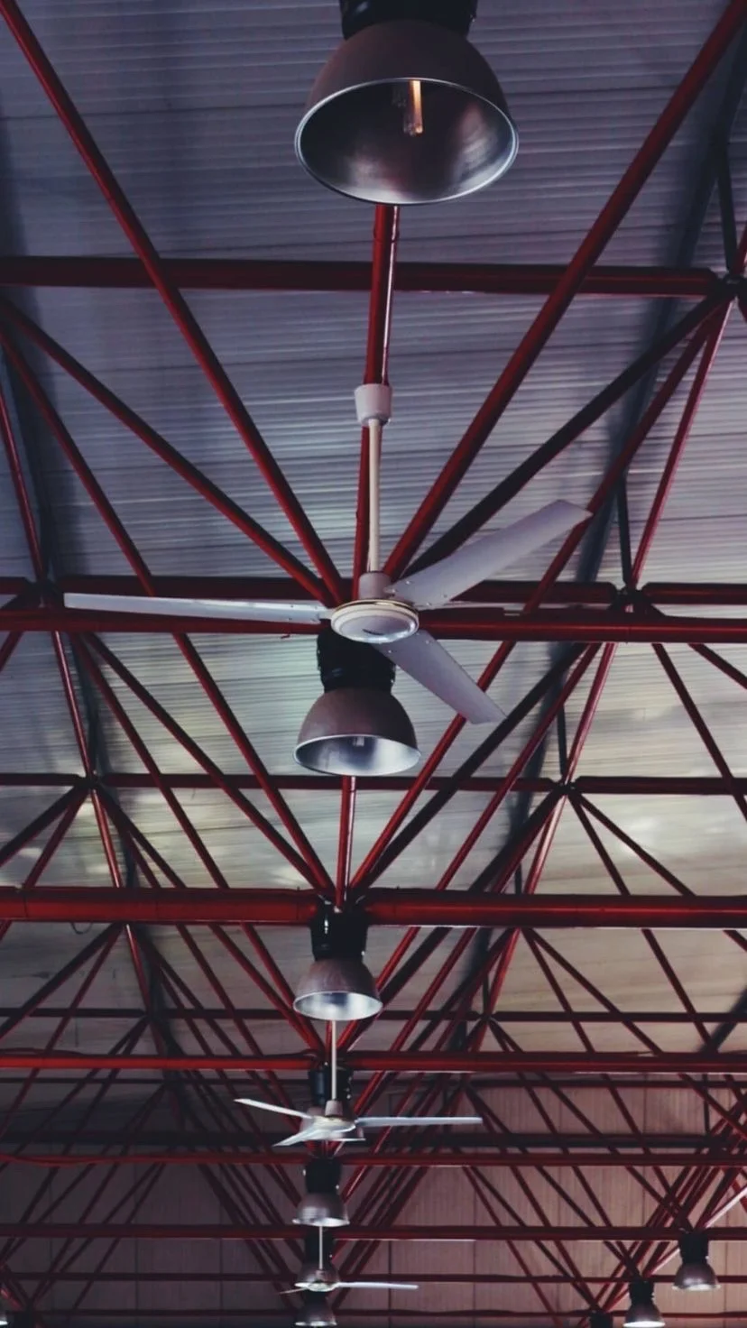 Red roof trusses and hanging lights, W:9 H:16, photograph 64