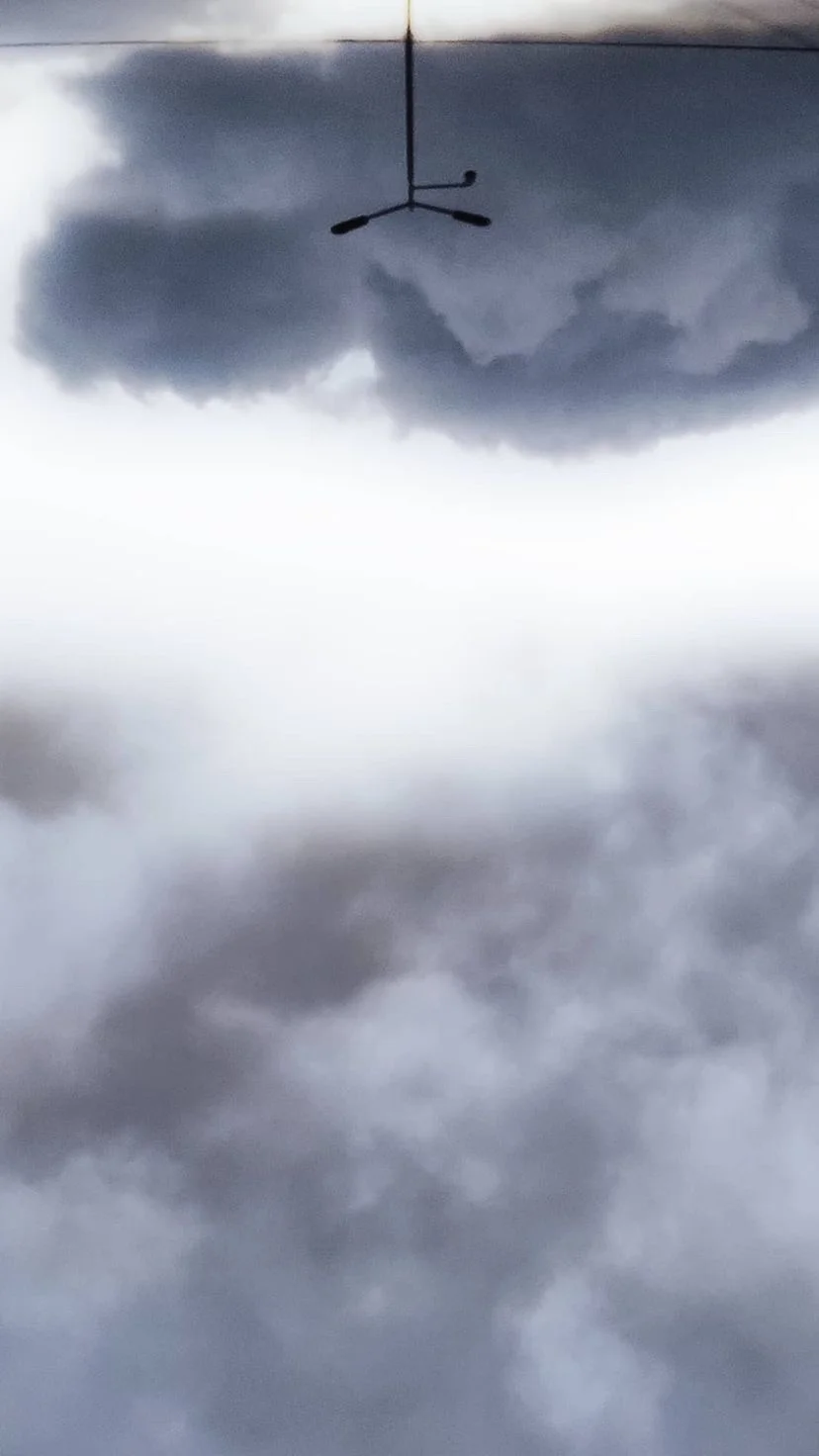 A bird flying beneath dark clouds, W:9 H:16, photograph 63