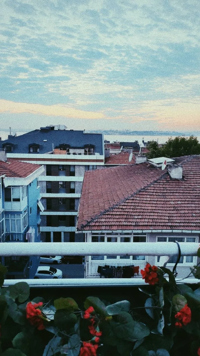 Rooftops and potted flowers at dusk, W:9 H:16, photograph 58