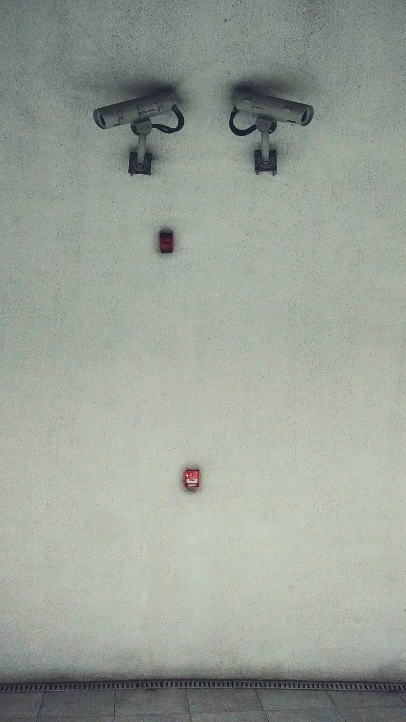 Two security cameras above a plain wall, W:9 H:16, photograph 33