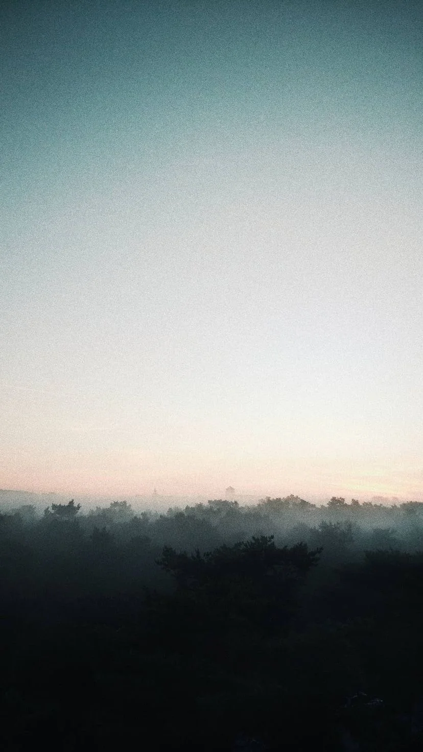 A hazy tree line beneath a pale evening sky, W:9 H:16, photograph 49