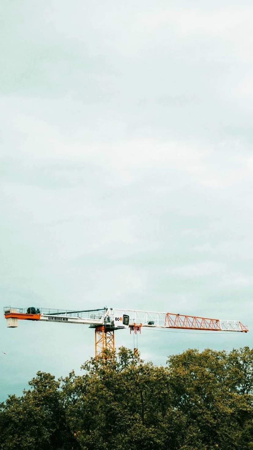 Construction crane above green trees, W:9 H:16, photograph 68