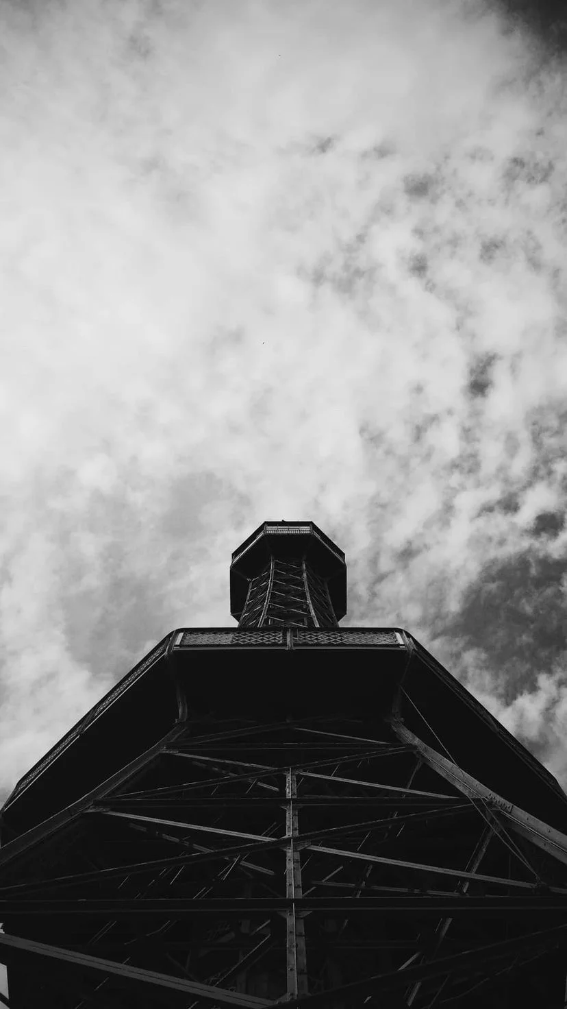 Black and white view up toward a roof and cupola, W:9 H:16, photograph 18