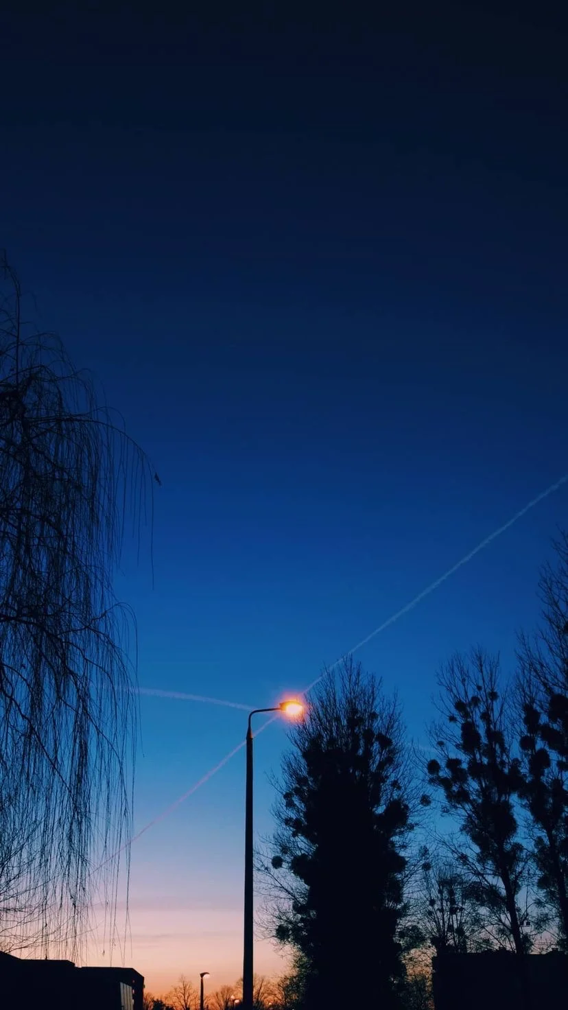 Streetlight and bare trees at dusk, W:9 H:16, photograph 47