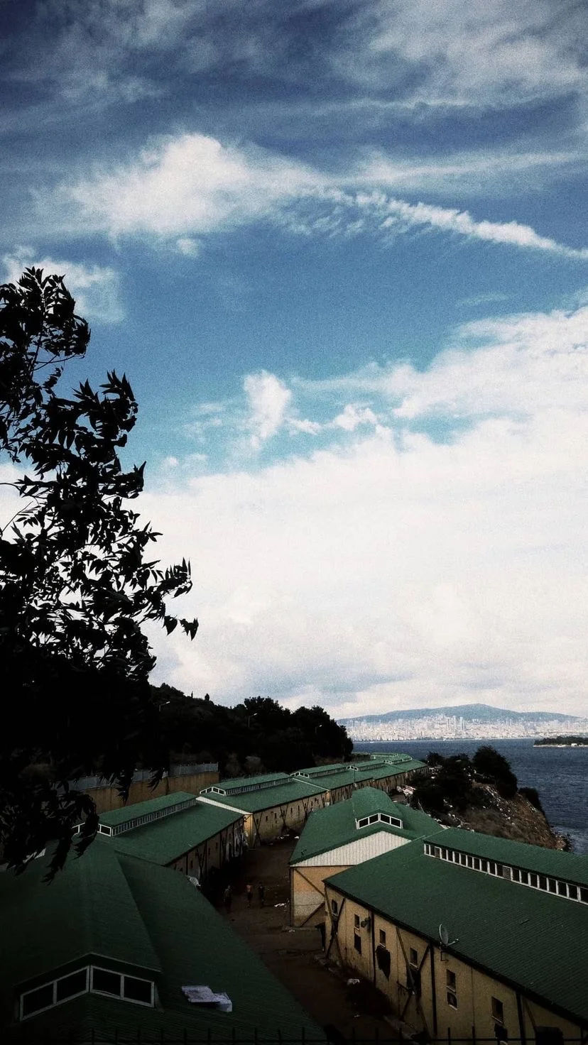 Rooftops, trees and a distant coastline, W:9 H:16, photograph 29