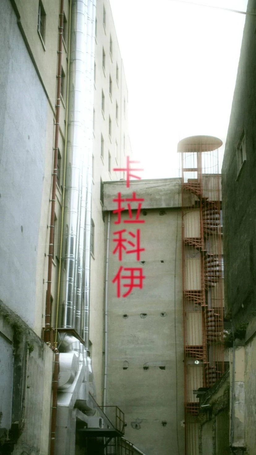 A narrow passage with vertical signs and plants, W:9 H:16, photograph 61